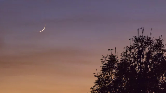 রোজা শুরু নিয়ে যা জানাল ইসলামিক ফাউন্ডেশন